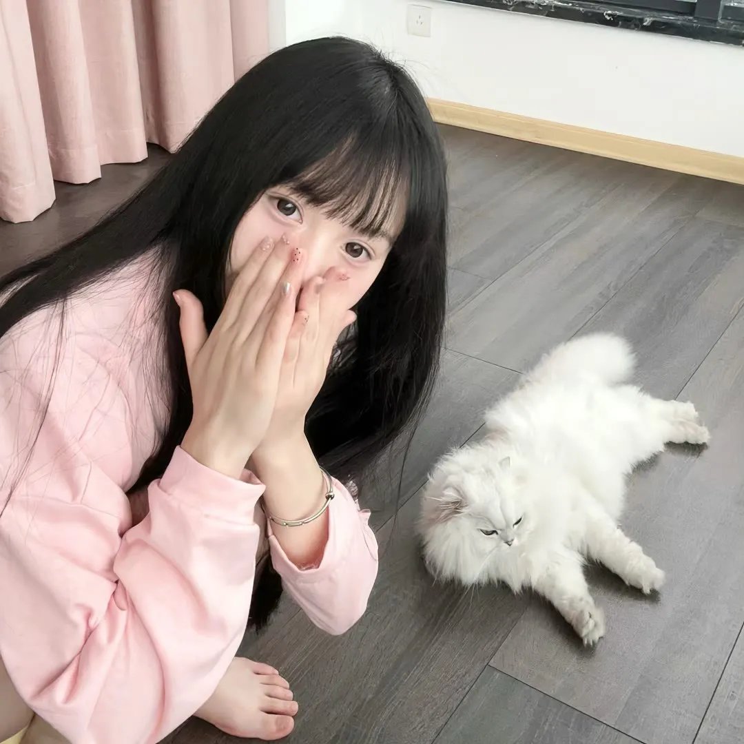 喀布尔的燕子